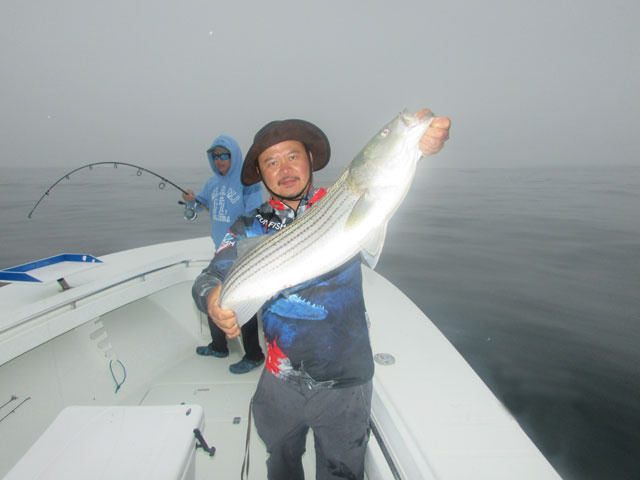 Gallilee Rhode Island Striped Bass Charters
